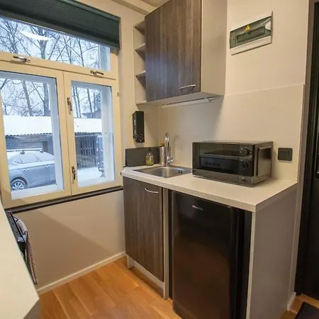 Homey Apartment At Tartu Woody Karlova & Free Parking 2 Апартаменты
