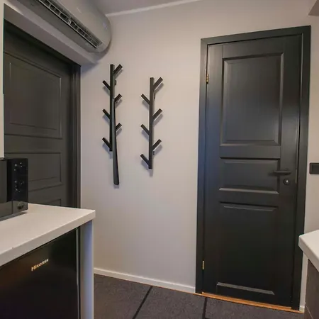 Homey Apartment At Tartu Woody Karlova & Free Parking 2 * Тарту