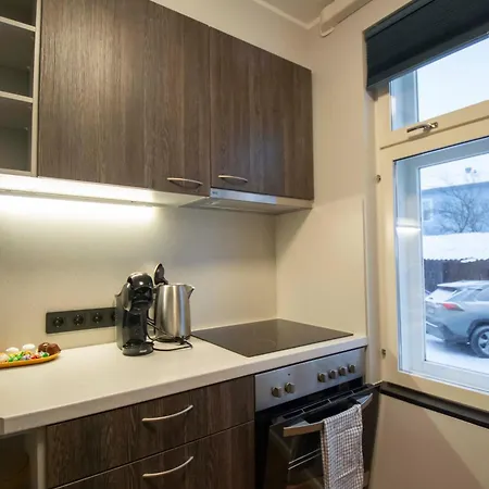 Homey Apartment At Tartu Woody Karlova & Free Parking 2
