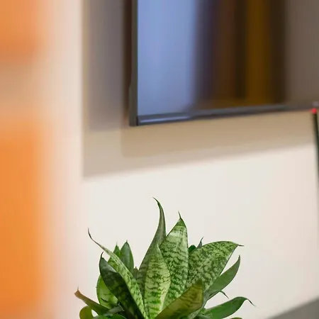 Apartment Karlovaidyll 2 - Cozy In A Quiet Area With Free Parking *
