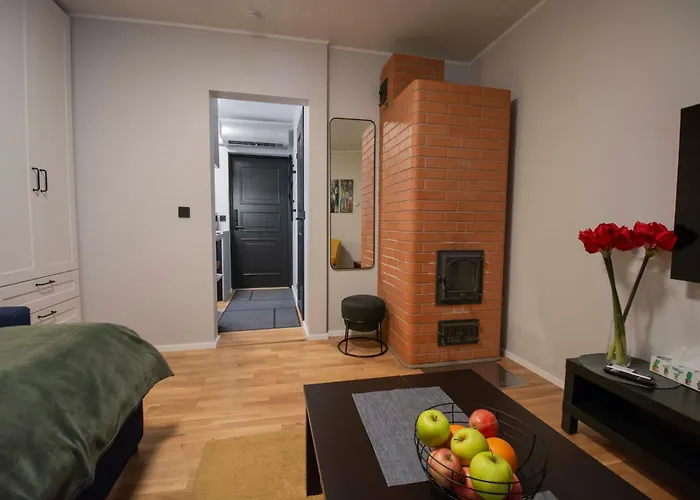 Apartment Karlovaidyll 2 - Cozy In A Quiet Area With Free Parking Tartu